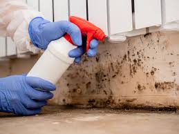 Best Environmental Consulting for Mold Prevention  in Laguna Park, TX